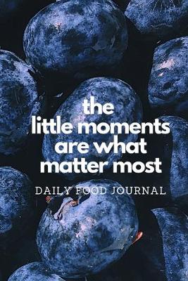 Book cover for The Little Moments are What Matter Most