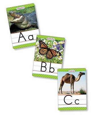 Book cover for Animals from A to Z Manuscript Alphabet Set