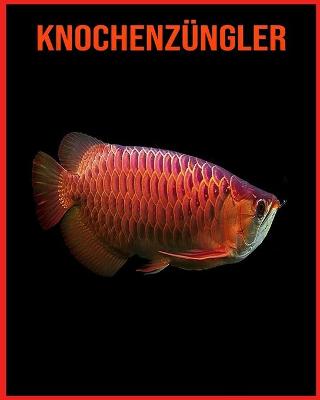 Book cover for Knochenzüngler