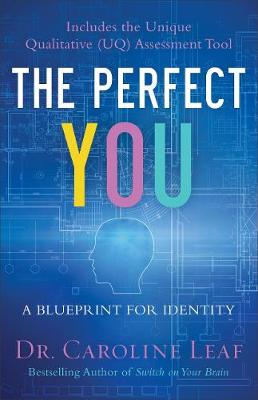 Book cover for The Perfect You