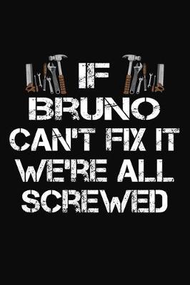 Book cover for If Bruno Can't Fix It We're All Screwed