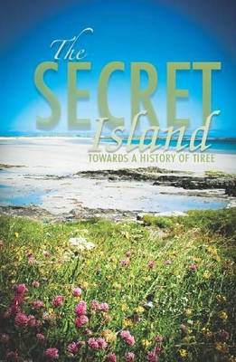 Book cover for The Secret Island