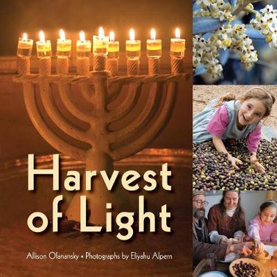 Book cover for Harvest of Light