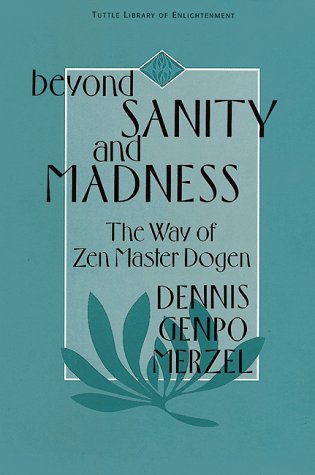 Book cover for Beyond Sanity and Madness