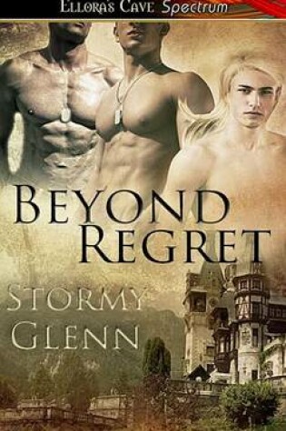 Cover of Beyond Regret