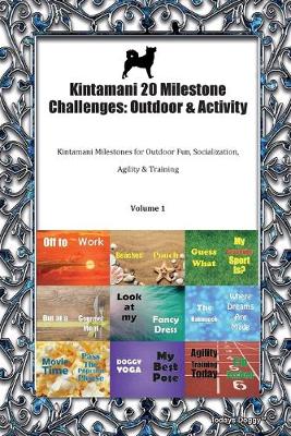 Book cover for Kintamani 20 Milestone Challenges