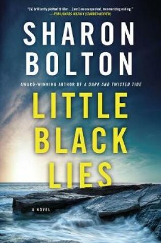 Cover of Little Black Lies