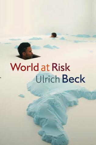 Cover of World at Risk