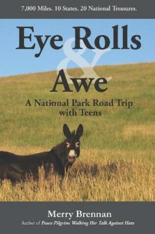 Cover of Eye Rolls & Awe