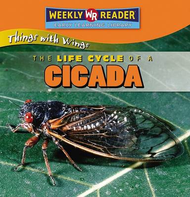 Book cover for The Life Cycle of a Cicada