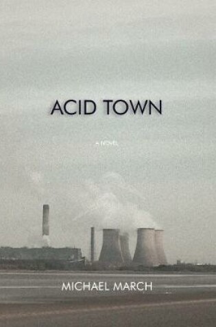 Cover of Acid Town