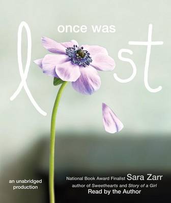 Book cover for Once Was Lost