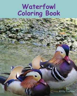 Book cover for Waterfowl Coloring Book