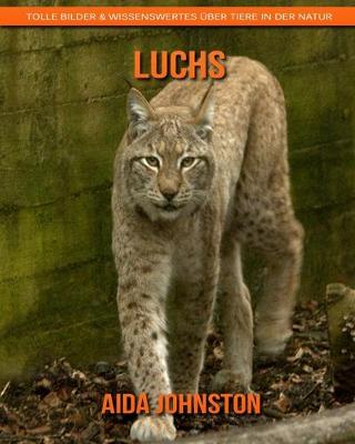 Book cover for Luchs