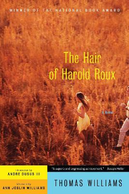 Book cover for The Hair of Harold Roux