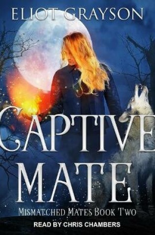 Cover of Captive Mate