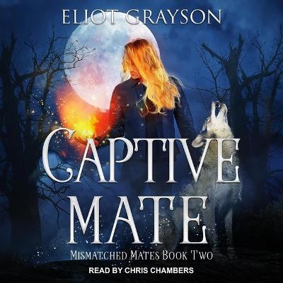 Cover of Captive Mate