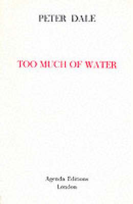 Book cover for Too Much of Water