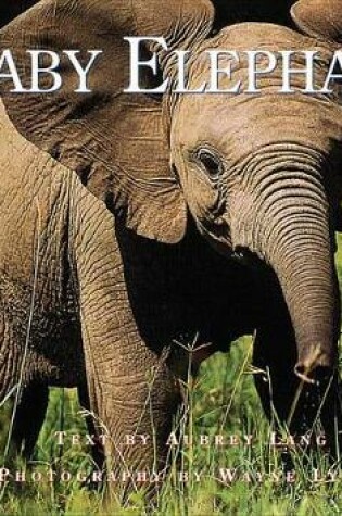 Cover of Baby Elephant