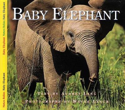 Book cover for Baby Elephant