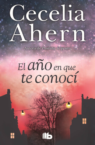 Book cover for El año en que te conocí  /  The Year I Met You