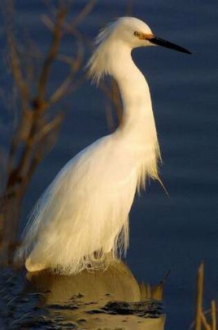 Cover of Snowy Egret Waterfowl Bird Journal