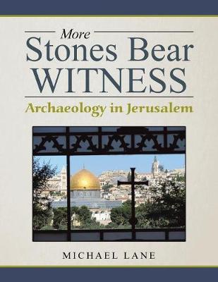 Book cover for More Stones Bear Witness