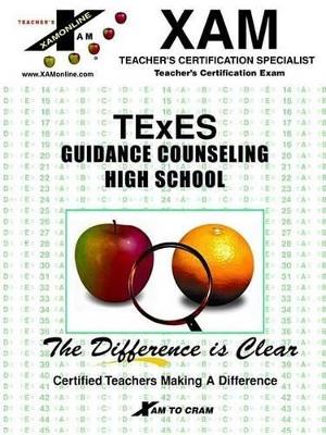 Book cover for TExES Guidance Counseling High School