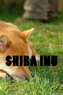 Book cover for Shiba Inu