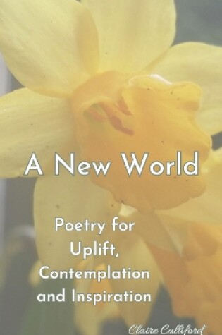 Cover of A New World