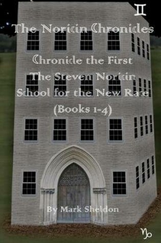 Cover of The Steven Noricin School for the New Race