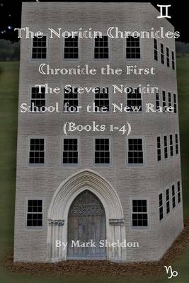 Book cover for The Steven Noricin School for the New Race