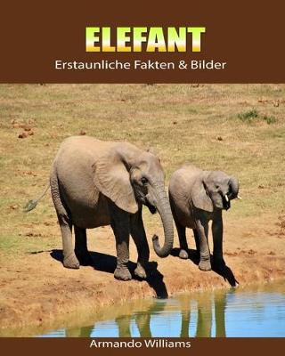 Book cover for Elefant