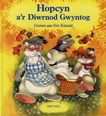 Book cover for Cyfres Hopcyn: Hopcyn a'r Diwrnod Gwyntog