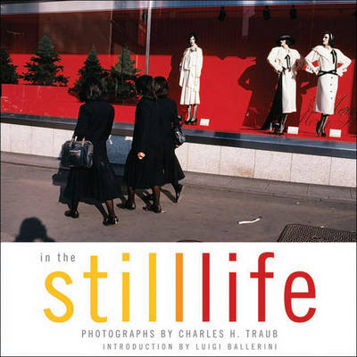 Book cover for In the Still Life