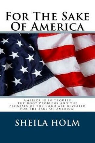 Cover of For the Sake of America