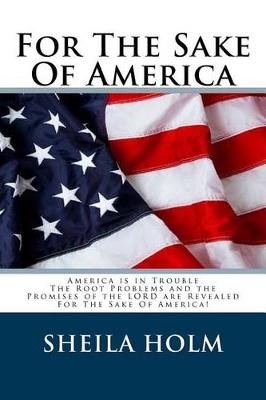 Book cover for For the Sake of America