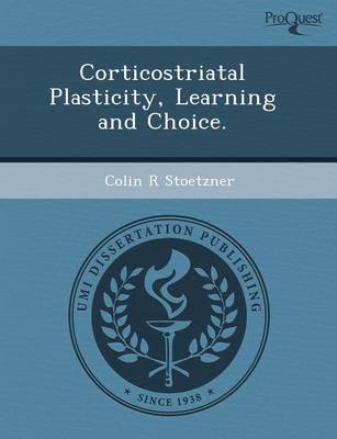 Cover of Corticostriatal Plasticity