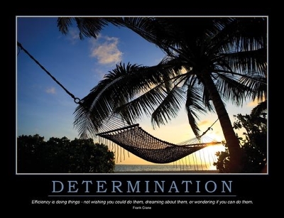 Book cover for Determination Poster