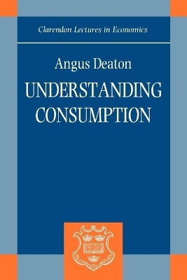 Book cover for Understanding Consumption