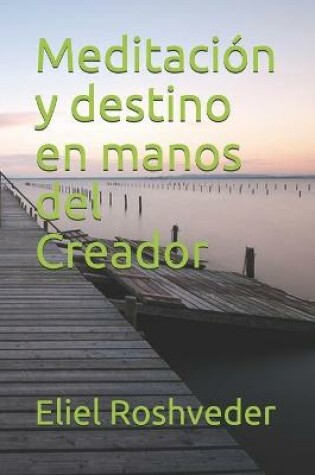 Cover of Meditacion y destino en manos del Creador