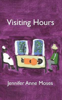 Book cover for Visiting Hours