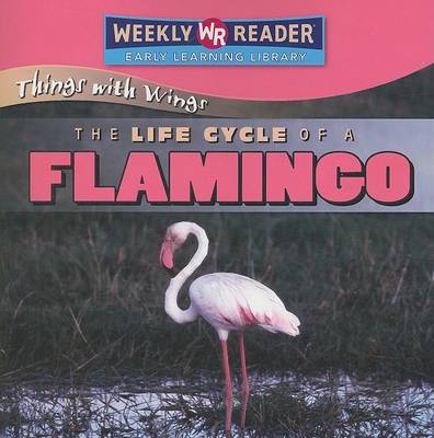 Book cover for The Life Cycle of a Flamingo