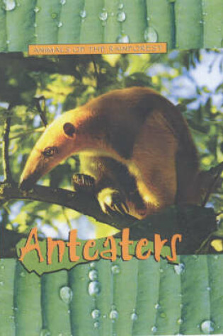 Cover of Animals of the Rainforest: Anteaters