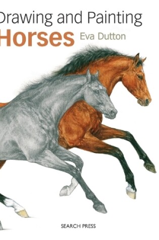 Cover of Drawing and Painting Horses