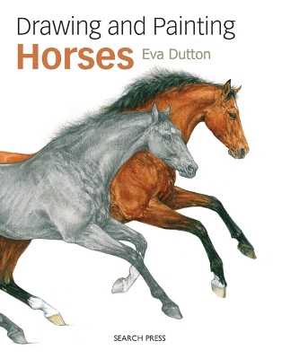 Book cover for Drawing and Painting Horses