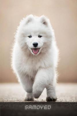 Book cover for Samoyed