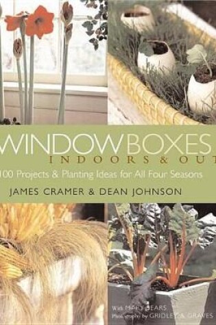 Cover of Window Boxes