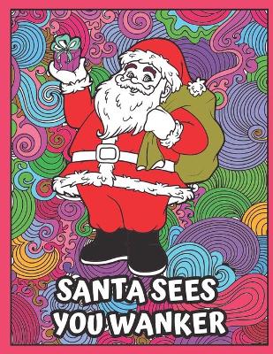 Book cover for Santa Sees You Wanker