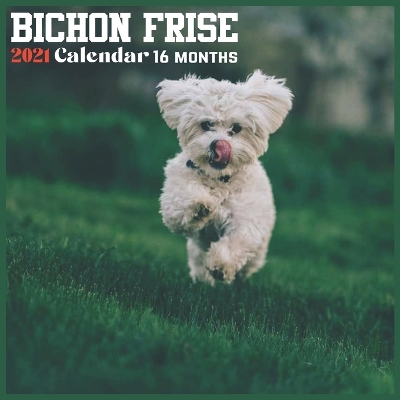 Book cover for Bichon Frise 2021 Calendar